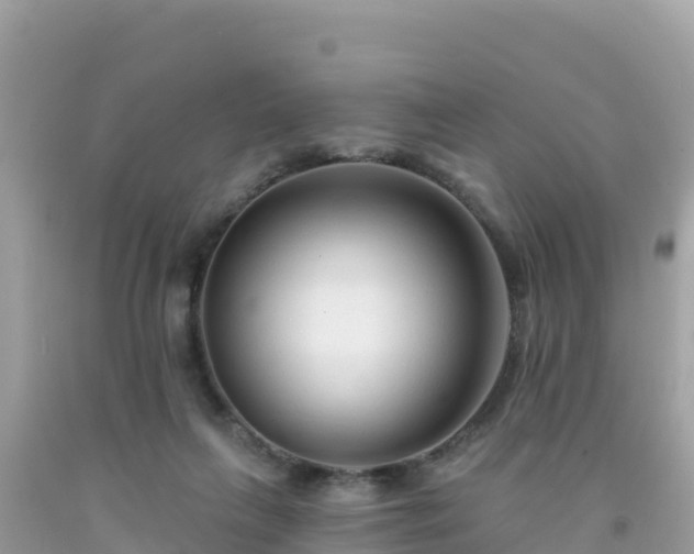 X0000092010263200709131541