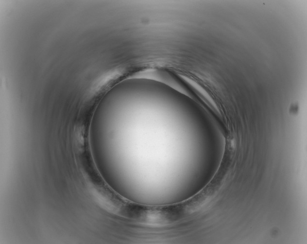 X0000092010264200709131541