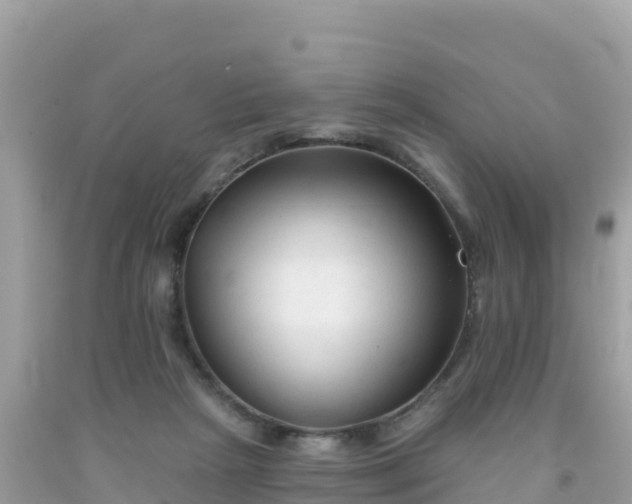 X0000092010265200709131541