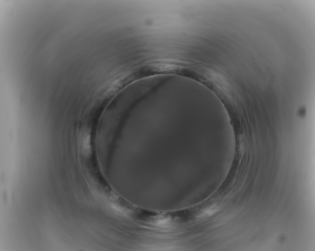 X0000092010267200709131541