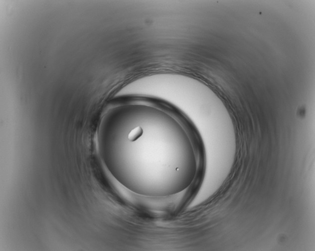X0000092010268200709131541