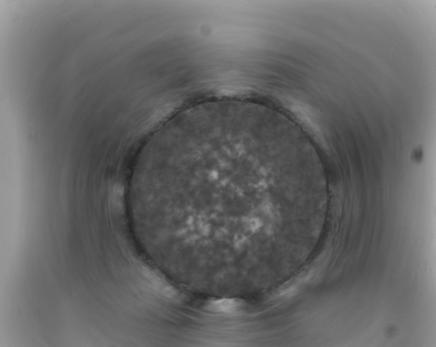 X0000092010269200709131541