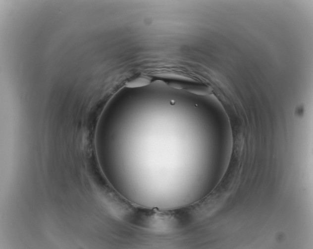 X0000092010270200709131541