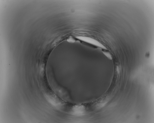 X0000092010271200709131541