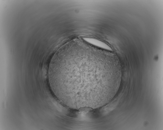 X0000092010273200709131541