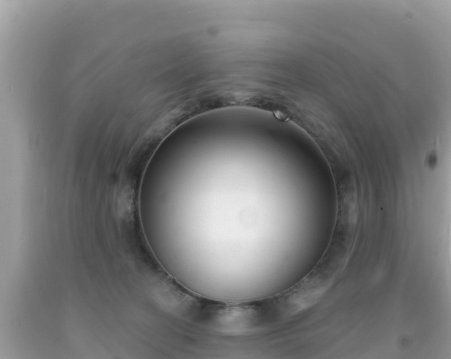 X0000092010274200709131541