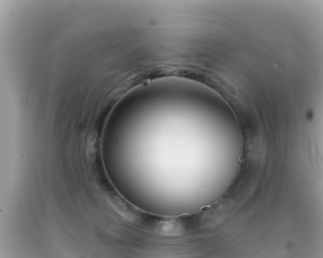 X0000092010275200709131541
