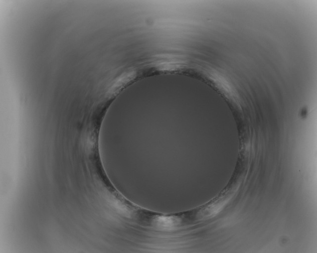 X0000092010277200709131541