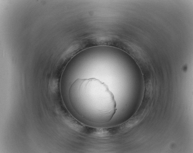 X0000092010278200709131541