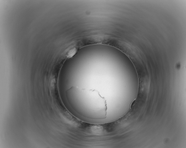 X0000092010279200709131541