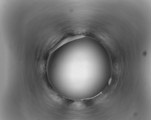 X0000092010280200709131541