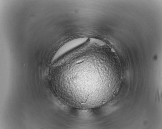 X0000092010281200709131541