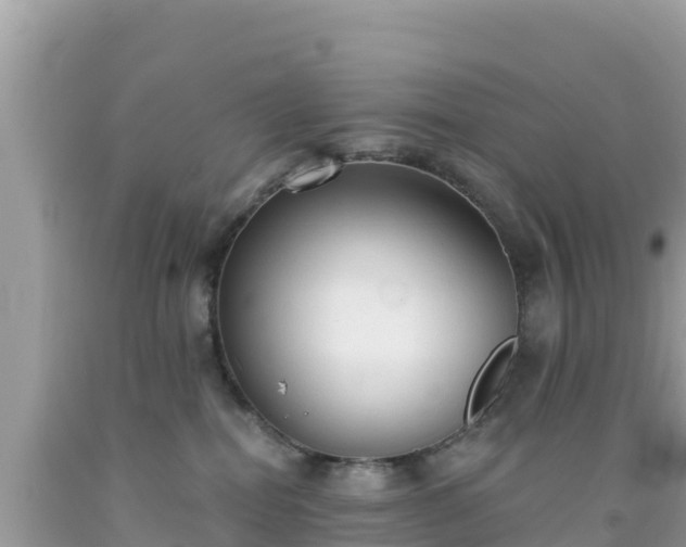 X0000092010282200709131541