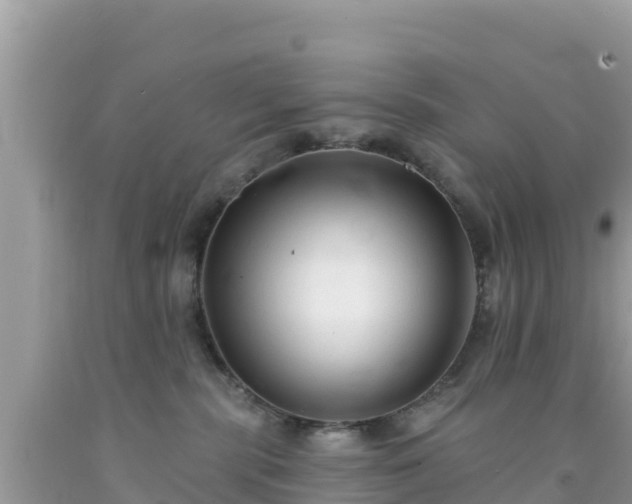 X0000092010283200709131541