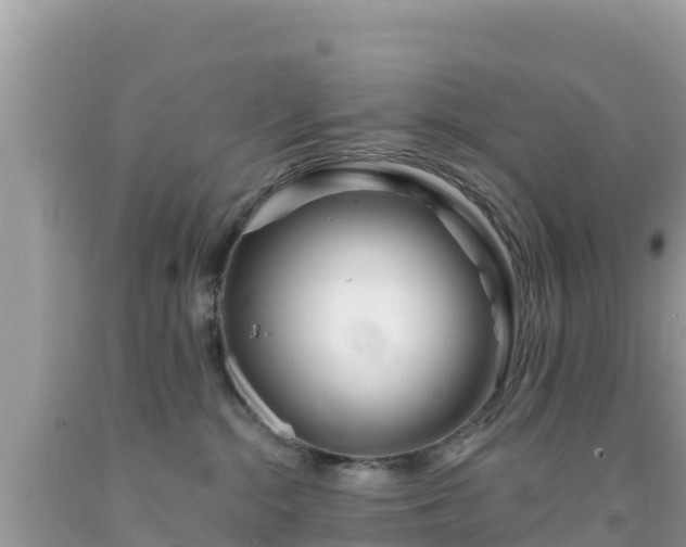 X0000092010284200709131541