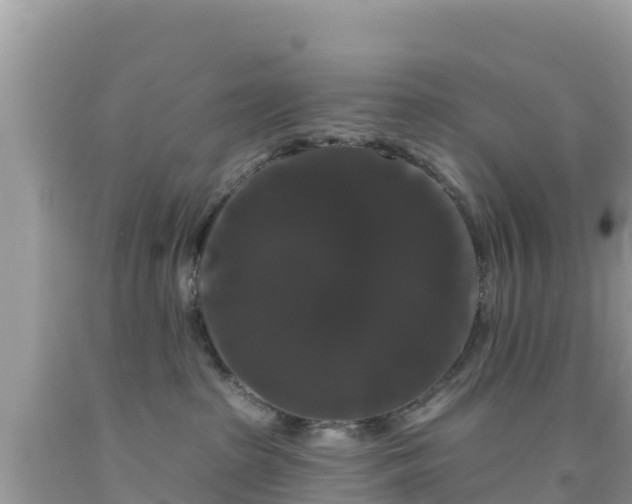 X0000092010285200709131541