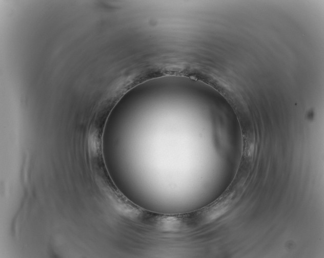 X0000092010287200709131541
