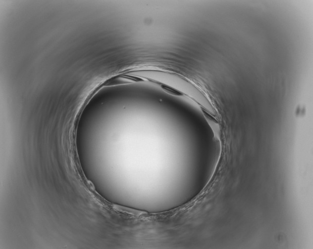 X0000092010289200709131540