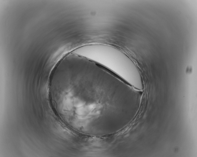 X0000092010290200709131540