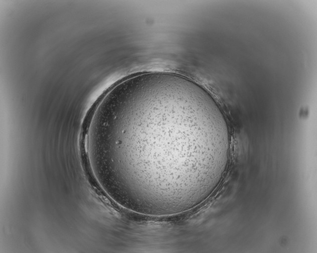 X0000092010292200709131540
