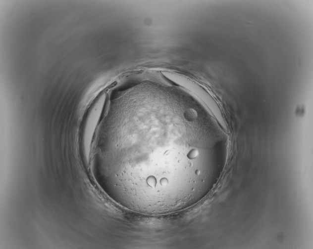 X0000092010293200709131540