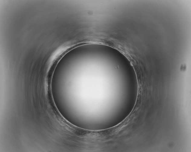 X0000092010294200709131540