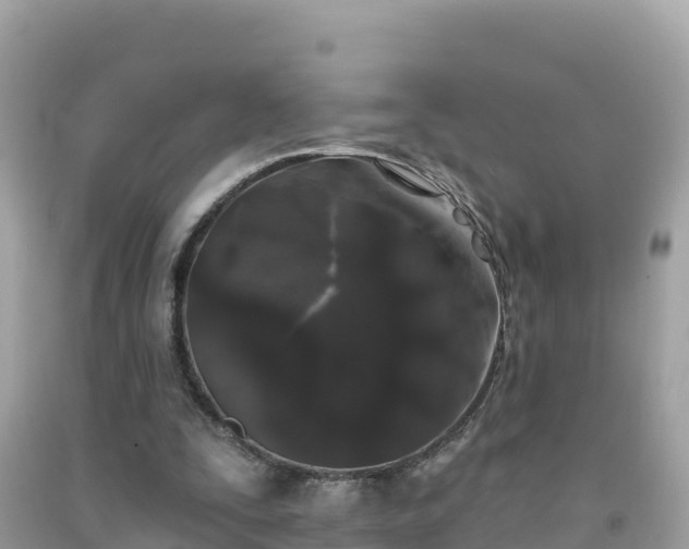 X0000092010295200709131540