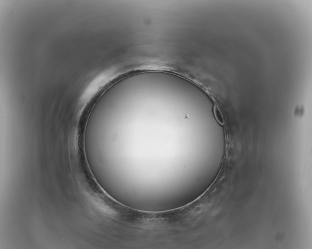 X0000092010296200709131540