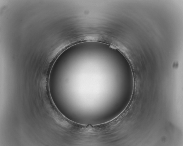 X0000092010297200709131540