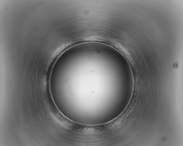 X0000092010298200709131540