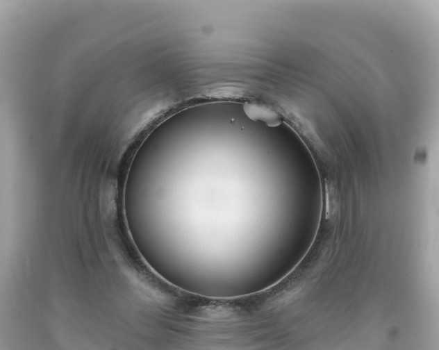 X0000092010300200709131540