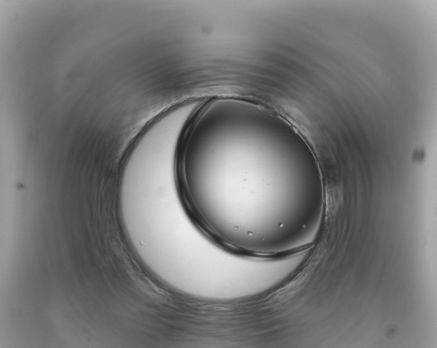 X0000092010301200709131540