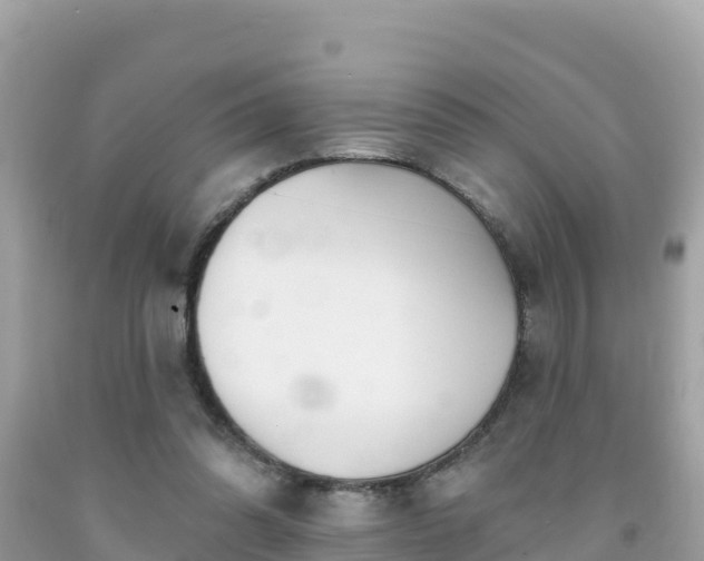X0000092010302200709131540
