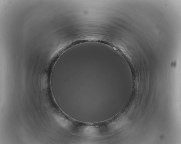 X0000092010303200709131540