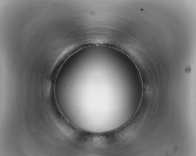 X0000092010304200709131540