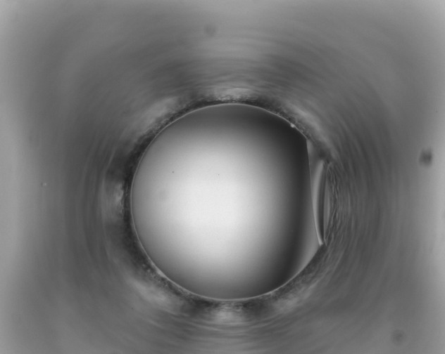 X0000092010308200709131540