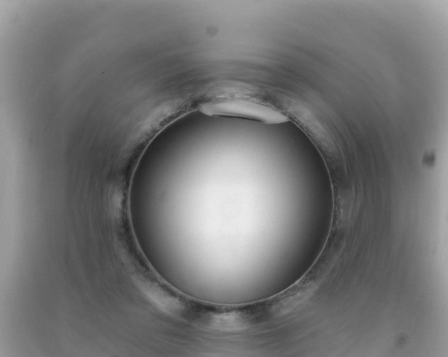 X0000092010309200709131540