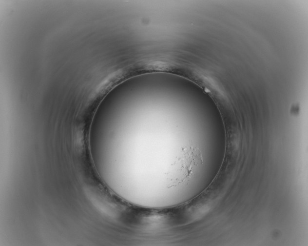 X0000092010312200709131540