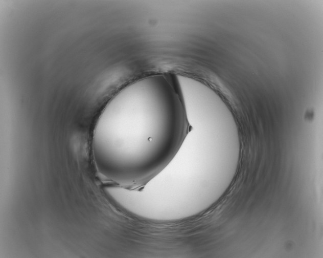 X0000092010313200709131540