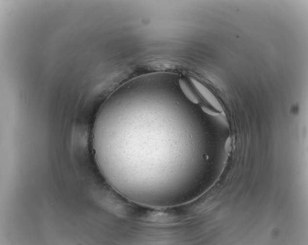 X0000092010315200709131540