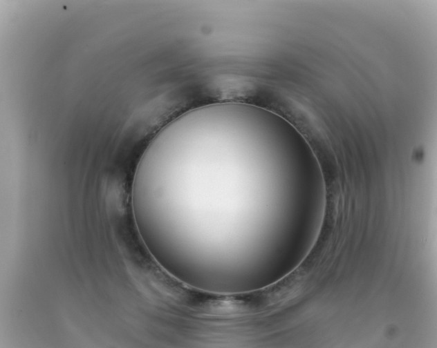 X0000092010316200709131540