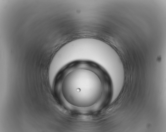X0000092010317200709131540