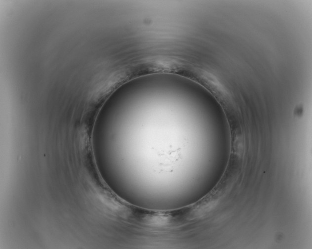 X0000092010318200709131540