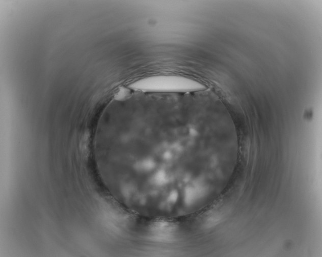 X0000092010319200709131540
