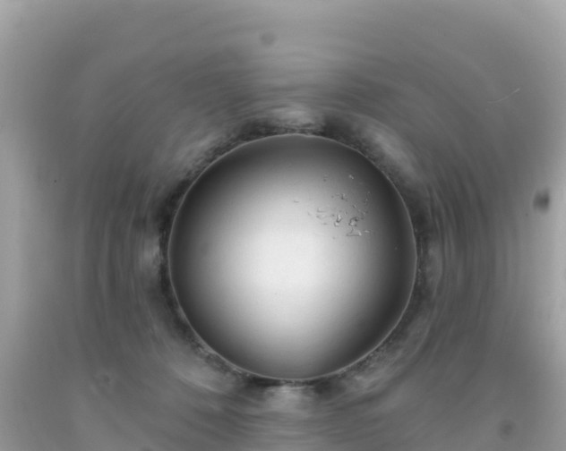 X0000092010320200709131540