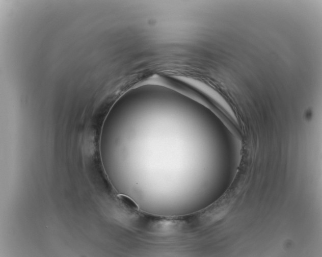 X0000092010323200709131540
