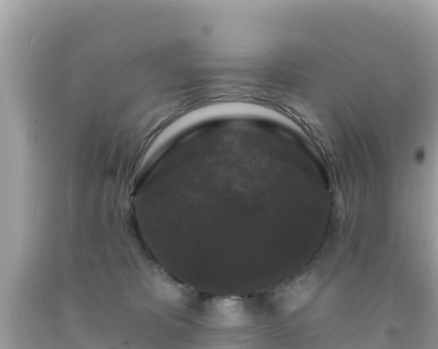 X0000092010325200709131540