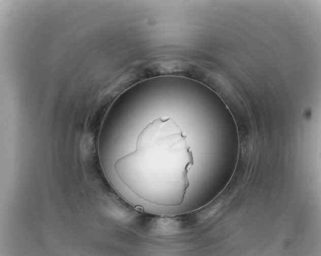 X0000092010327200709131540