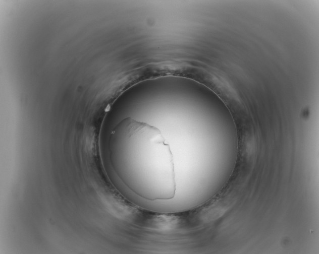 X0000092010328200709131540