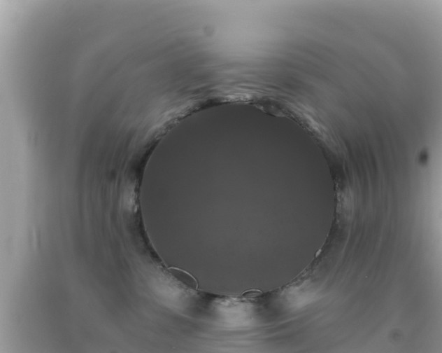 X0000092010331200709131540